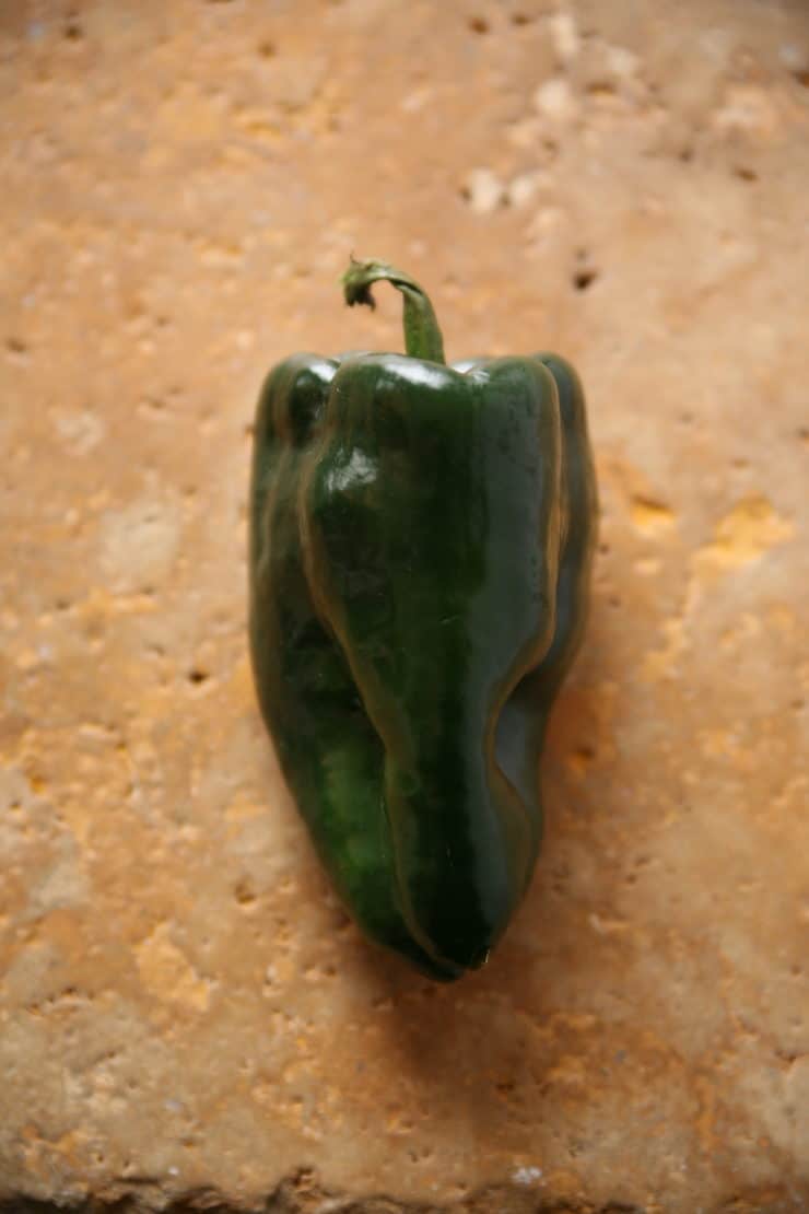 poblano chile pepper