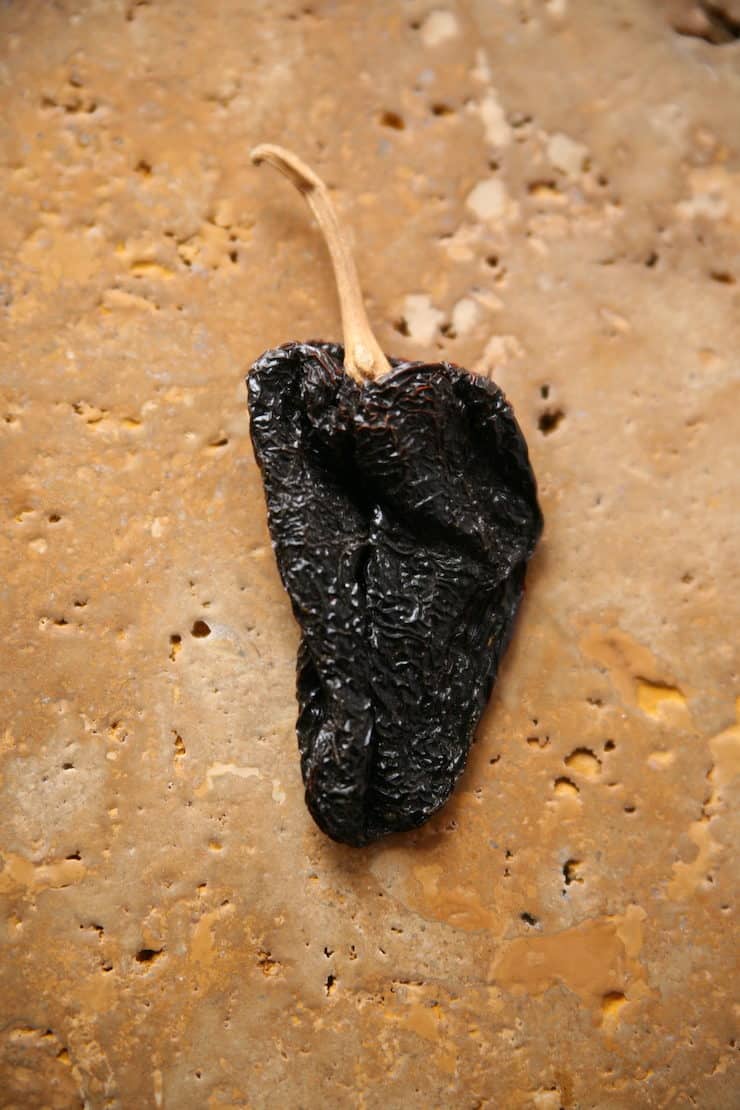 single dark mexican dried chile pod on a brown stone surface