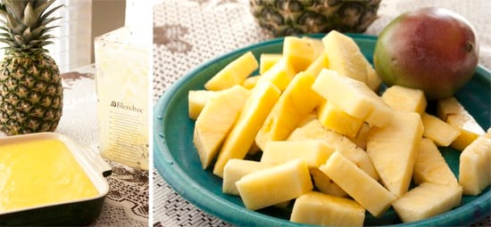 Blendtec-pineapple-mango