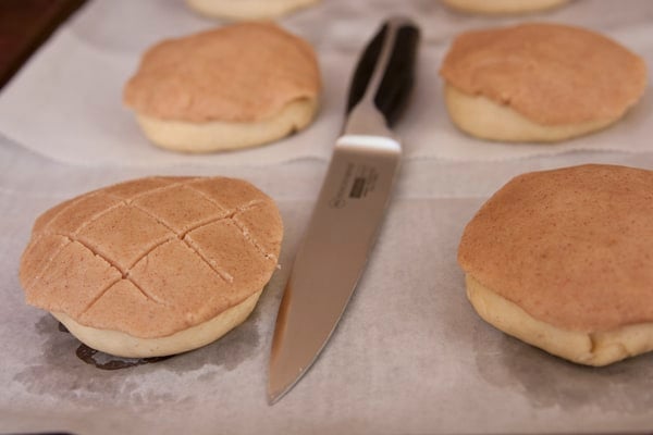 conchas cut on the tops to shape seashells 