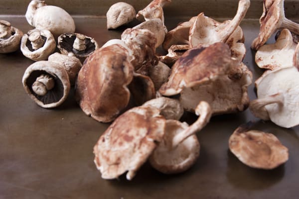 mushrooms-shitake-button