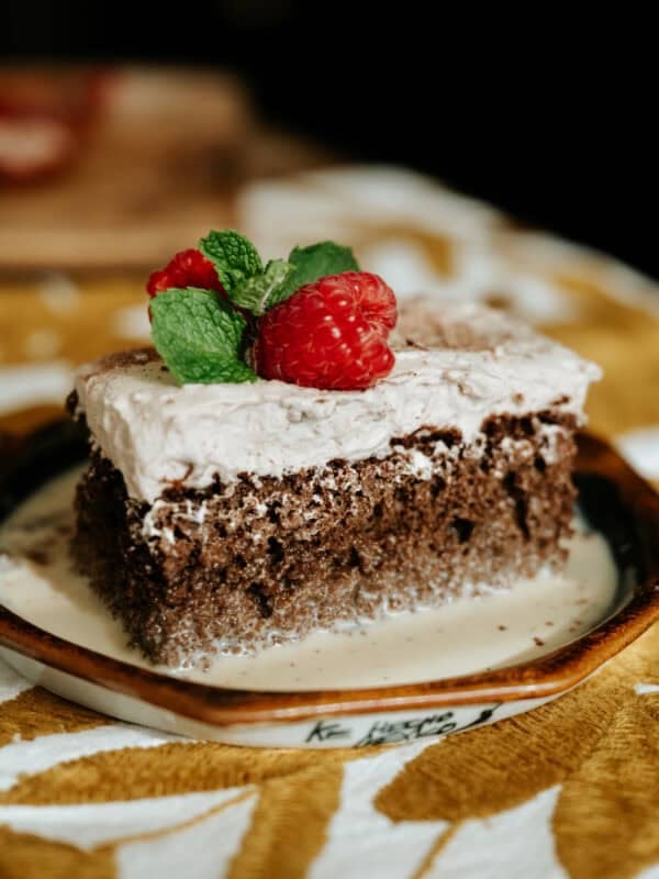 A slice of Chocolate Tres Leches Cake topped with chocolate whipped cream, raspberries, and chocolate shavings.