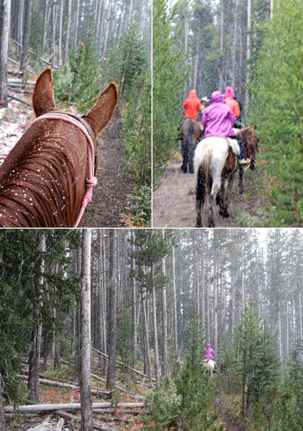 horseback riding snow wyoming