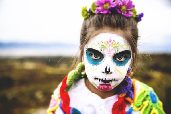 Dia de los muertos catrina