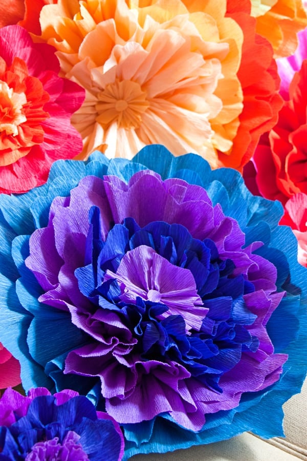 Fiesta Flower Tutorial - Make Your Own Tissue Paper Flowers