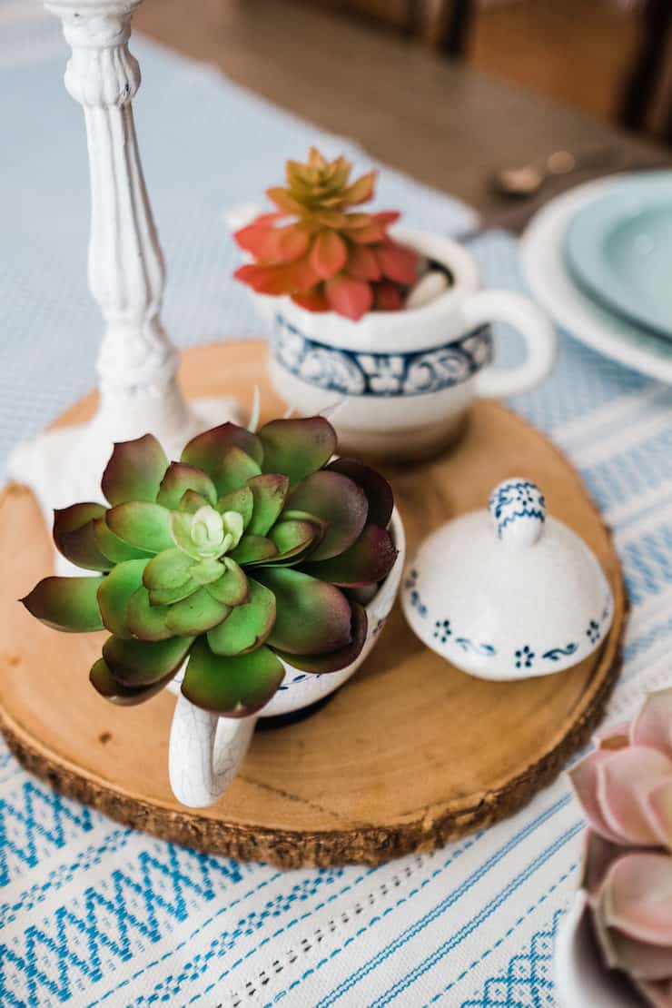 Succulents in Vintage Ceramics