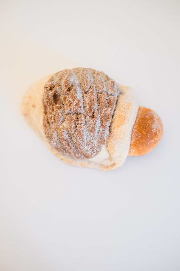 Pan Fino tortuga turtle pan dulce sweet bread