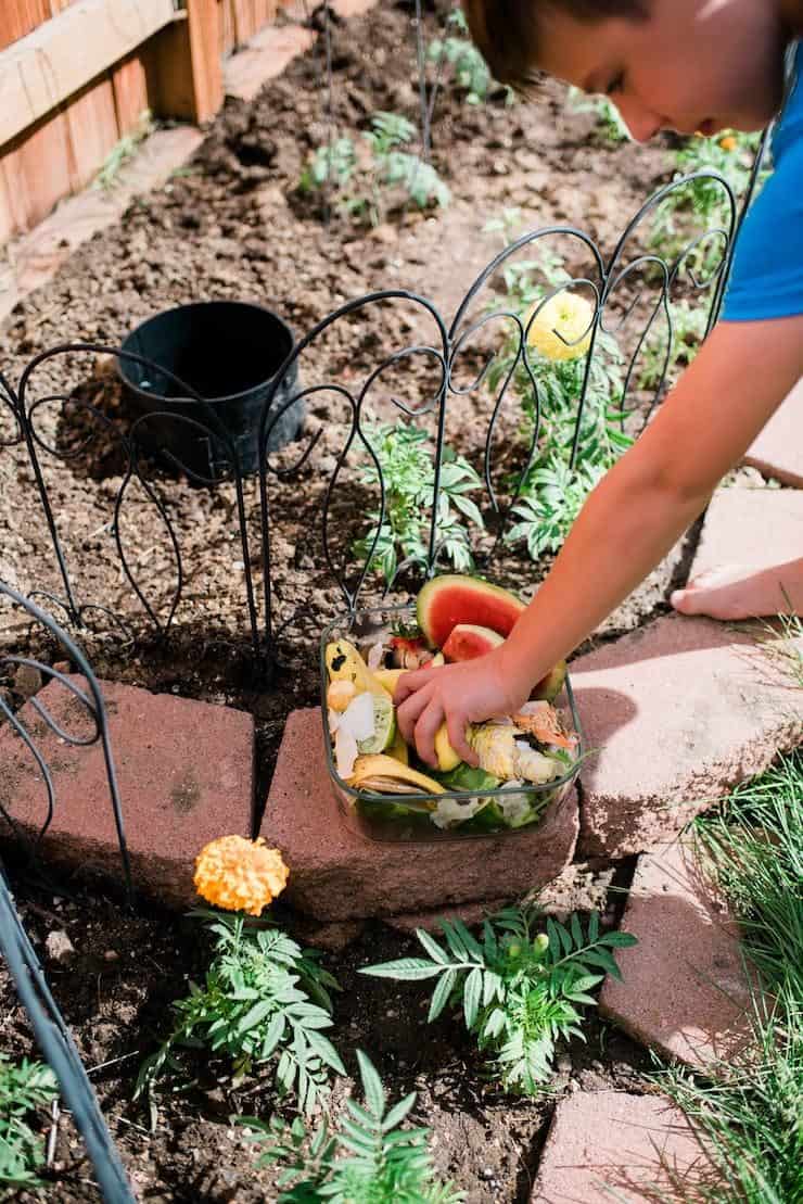 How to Compost at Home items to compost for a home garden