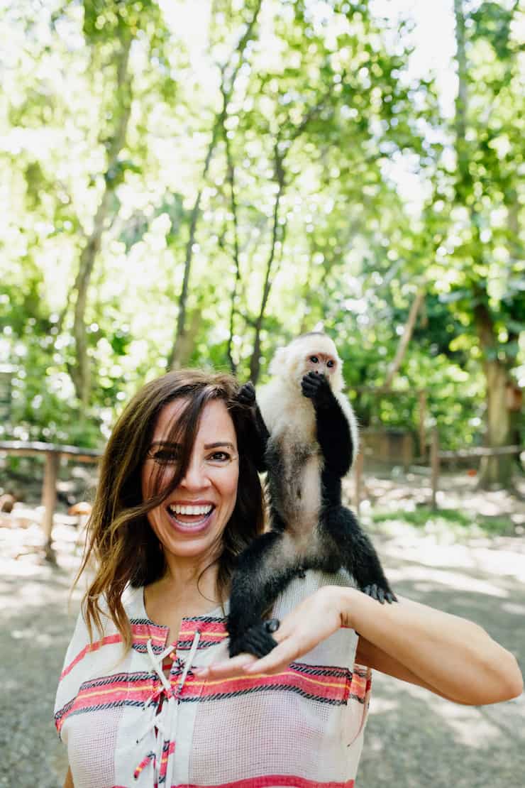 Western Caribbean Cruise excursion Honduras monkeys