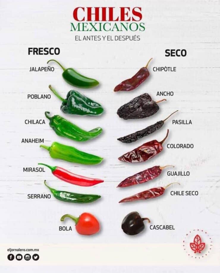 infographic illustrating fresh vs dried chile types and their names