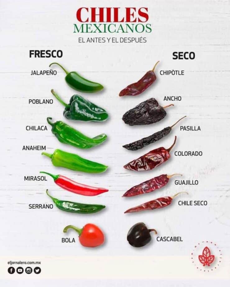 Different Types of Mexican Chile Peppers - Muy Bueno