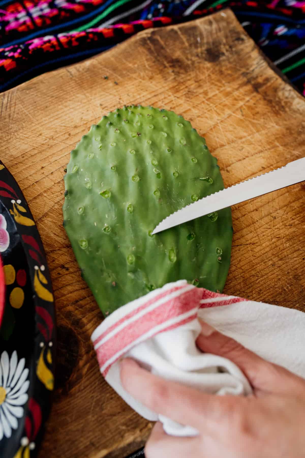 process shot - holding a nopal cactus paddle showing how to remove spines with a knife moving against the grains of the thorns and away from the person holding the knife.