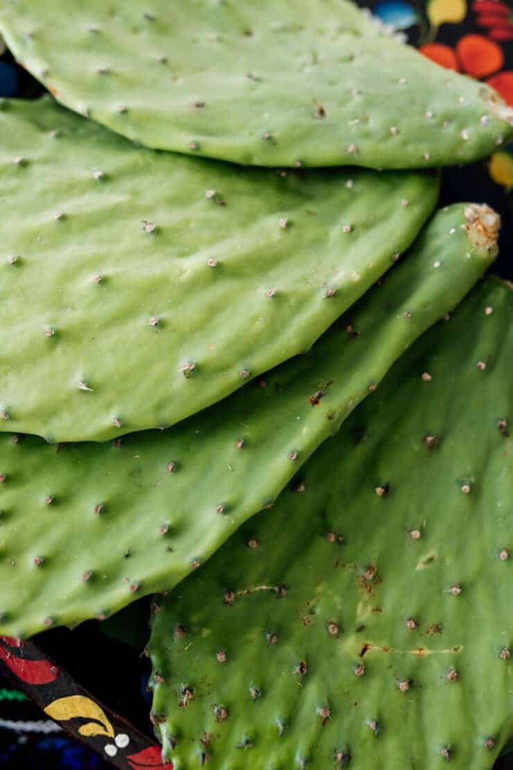 close up of cactus paddles nopales