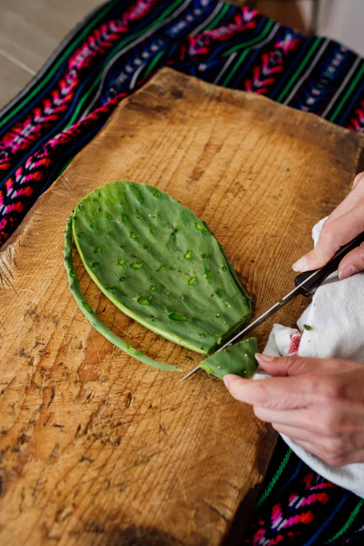 process shot - trimming outer edge of a nopal cactus paddle.