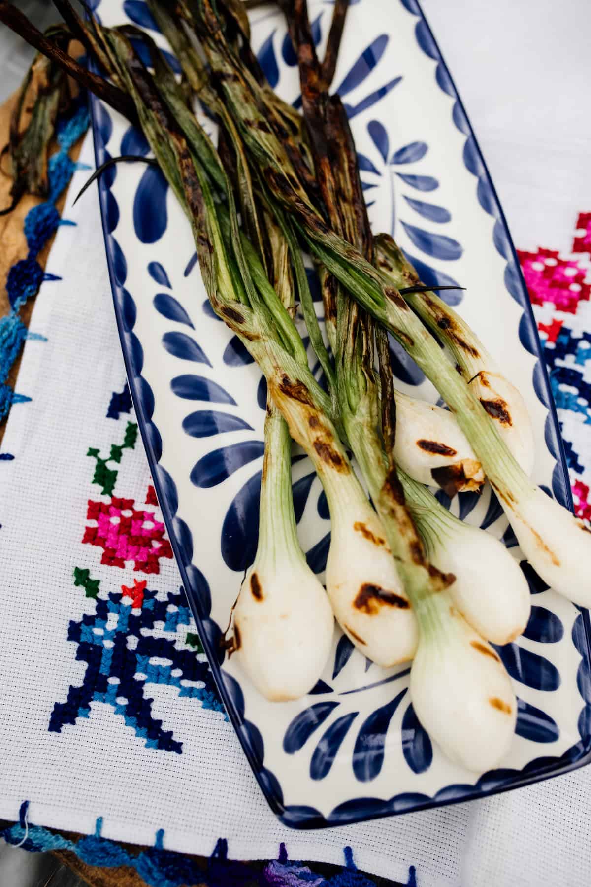 bunch of grilled spring onions (cebollitas asadas) on a painted blue and white plate