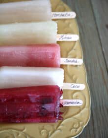 assorted tray of paletas