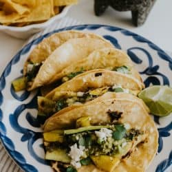 vegetarian tacos