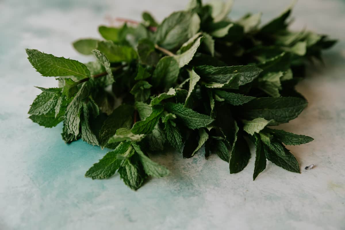 bunch of fresh mint on a table. 