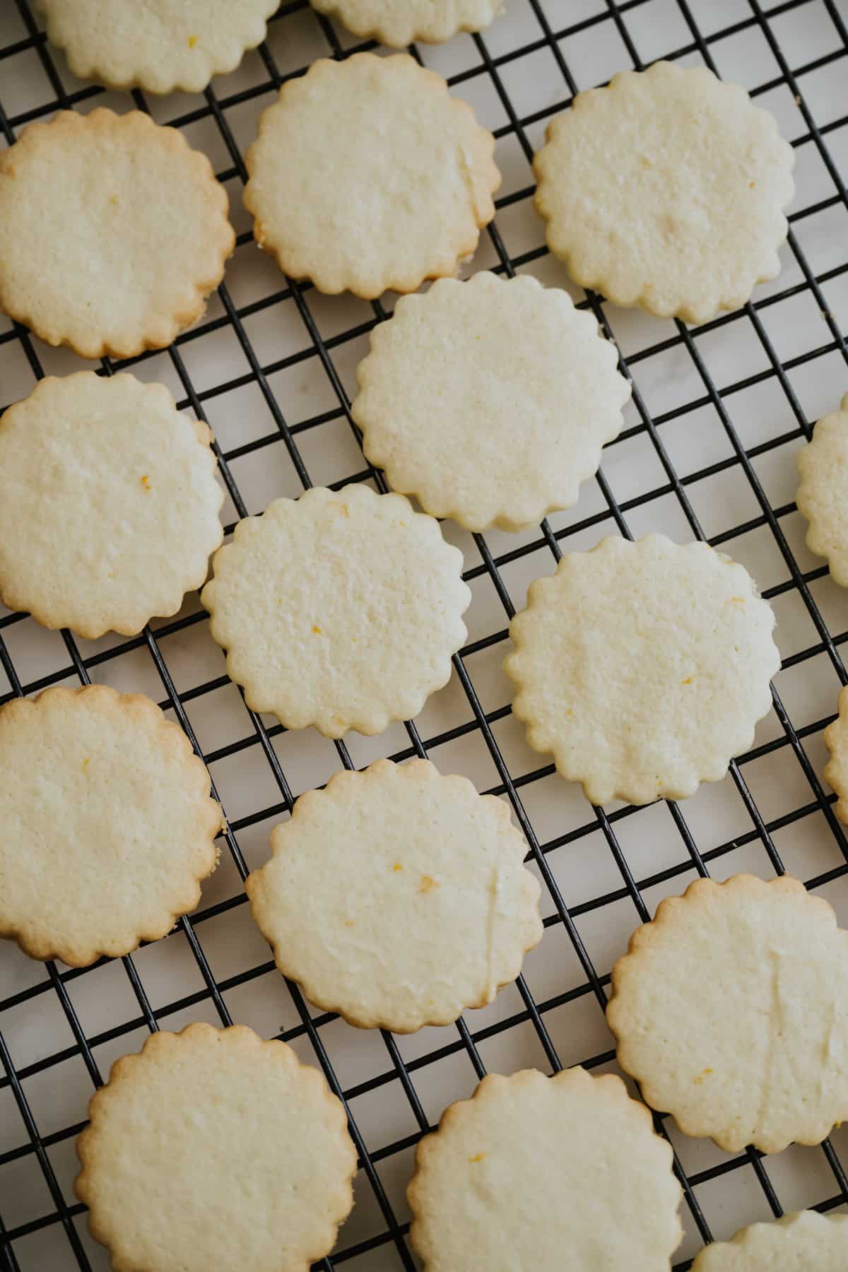 baked and unfilled shortbread cookies cooling on a rack before filling with dulce de leche for making alfajores de maicena.