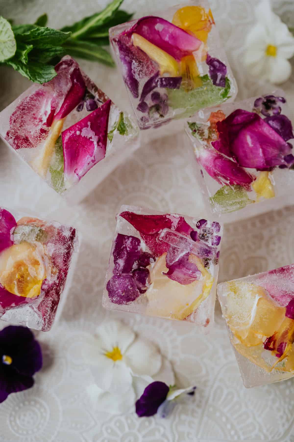 overhead shot of multicolored floral ice cubes on a white platter.