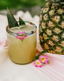 glass of tequila pineapple spritzer on a picnic blanket next to a whole pineapple.