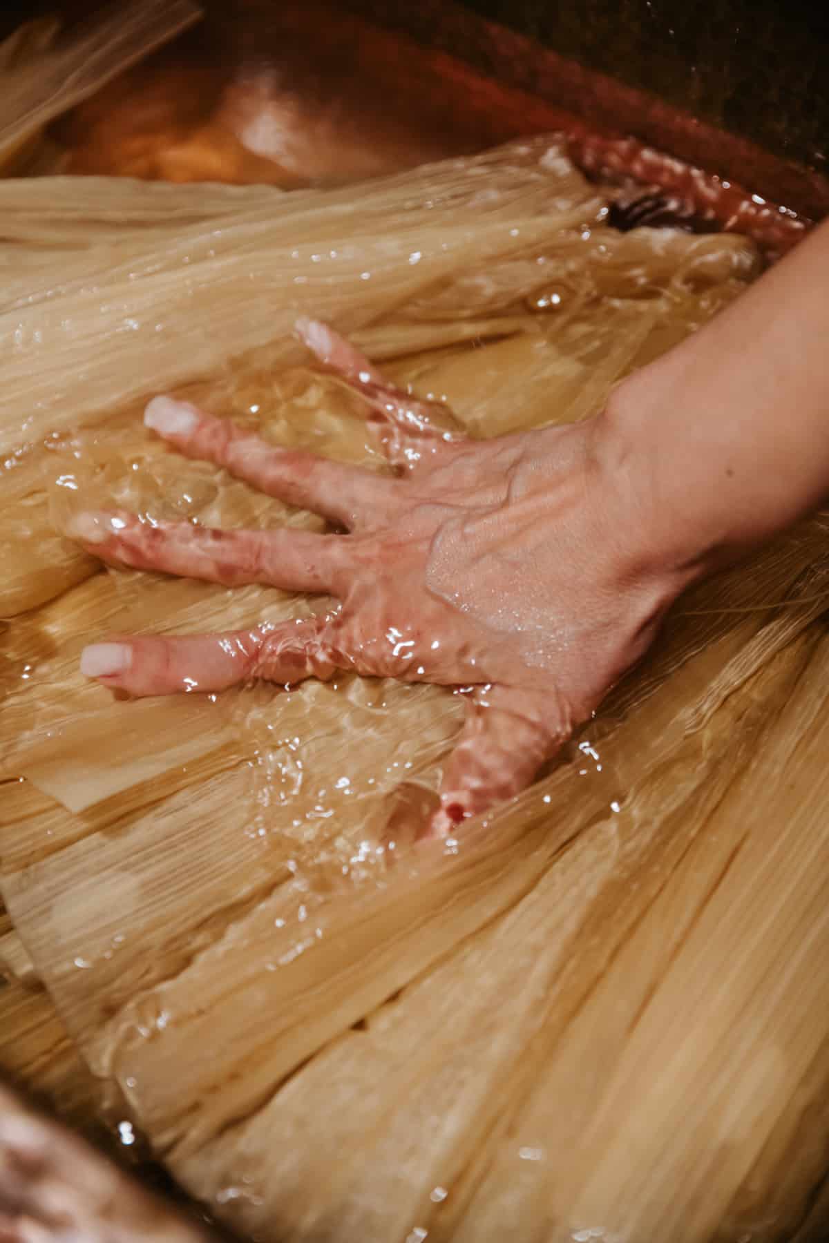 woman's hand pressing corn husks into cool water to soak before hosting a tamale-making party. 