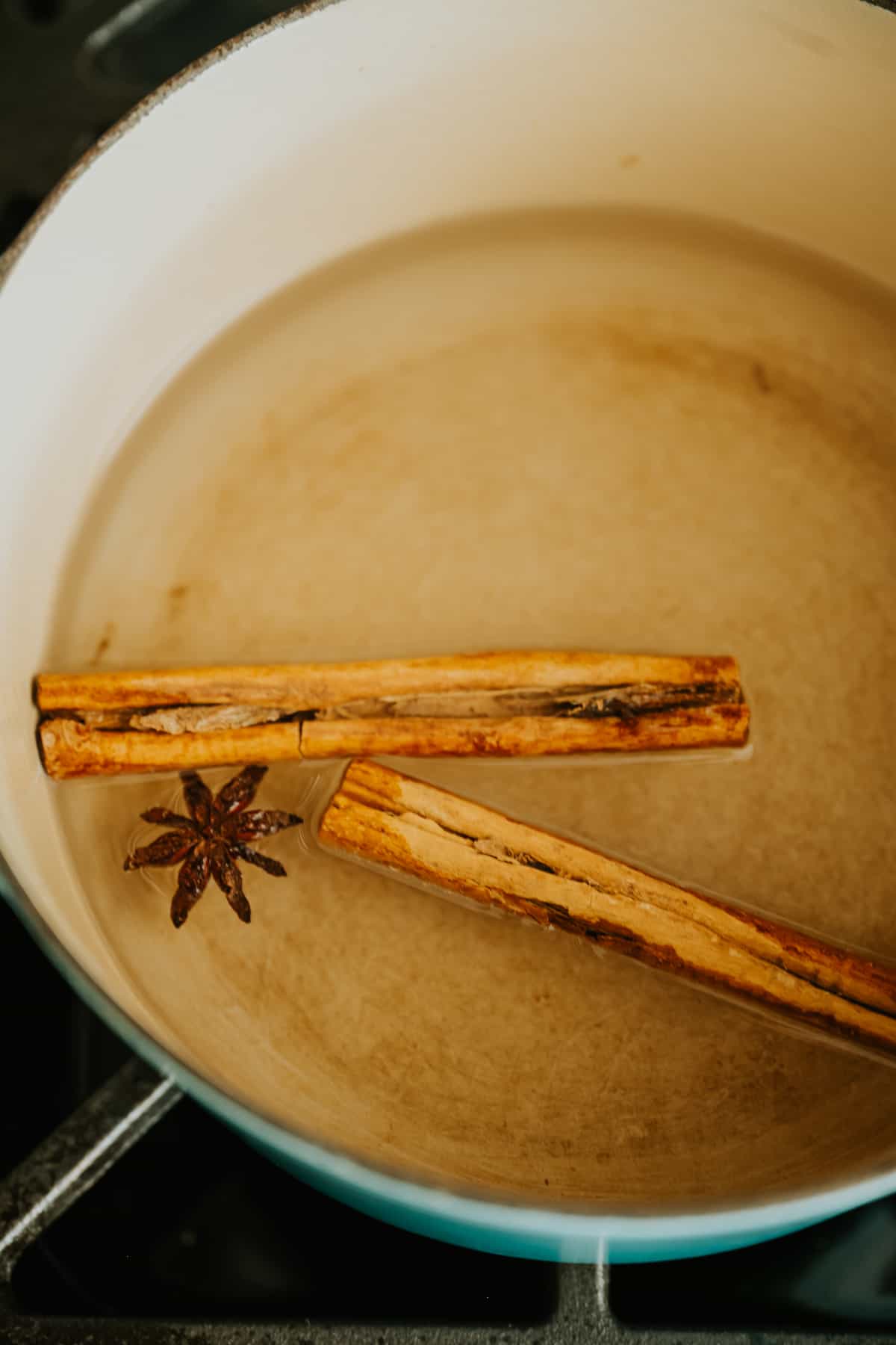 two canela sticks and a star anise pod steeping in hot water.