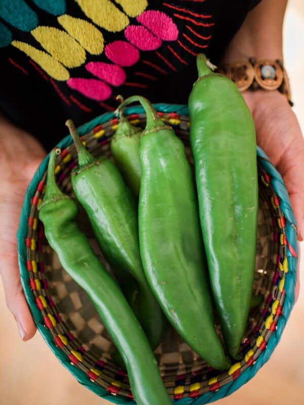 woman in a black shirt embroidered with bright pink, yellow, and turquoise holding a colorful woven rattan bowl with fresh anaheim peppers.