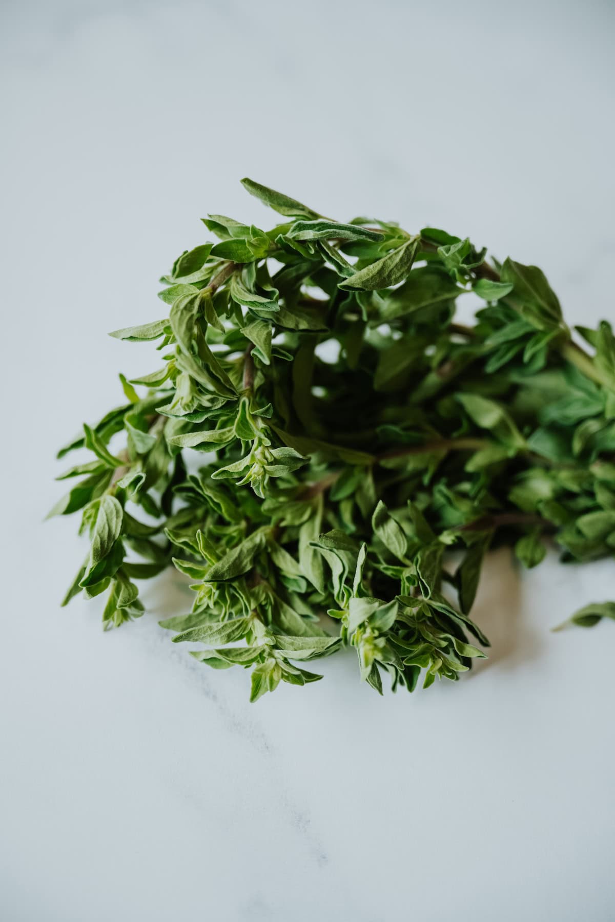 Mexican Oregano – 4oz (1/4 Lb) Fine Cut, Hispanic Type, Bulk Herb By Red Bunny Farms