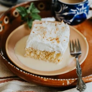 A slice of Coconut Tres Leches Cake on a terracotta-colored plate, topped with whipped cream and toasted coconut flakes, surrounded by a pool of tres leches milk and served with a mint sprig and a cup of coffee.